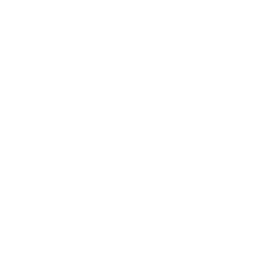 finansijski izvestaji